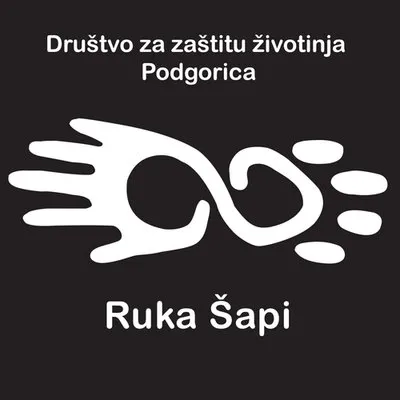 Final Ruka Sapi 400X400
